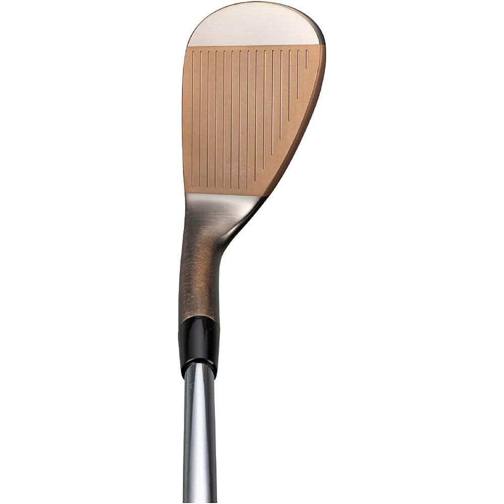 MIZUNO Golf Club T22 Wedge Satin Finish Men's Right-Handed Dynamic Gold HT Steel Shaft [Catalog Genuine Shaft] Hardness/S200 5KJSB22*