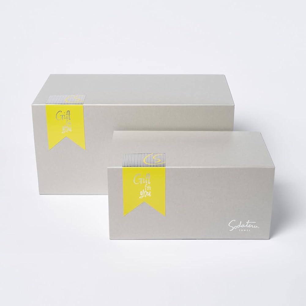 Nurture Towel "Feel" Face Towel Gift Set of 2 (Moon Greige x Mist)