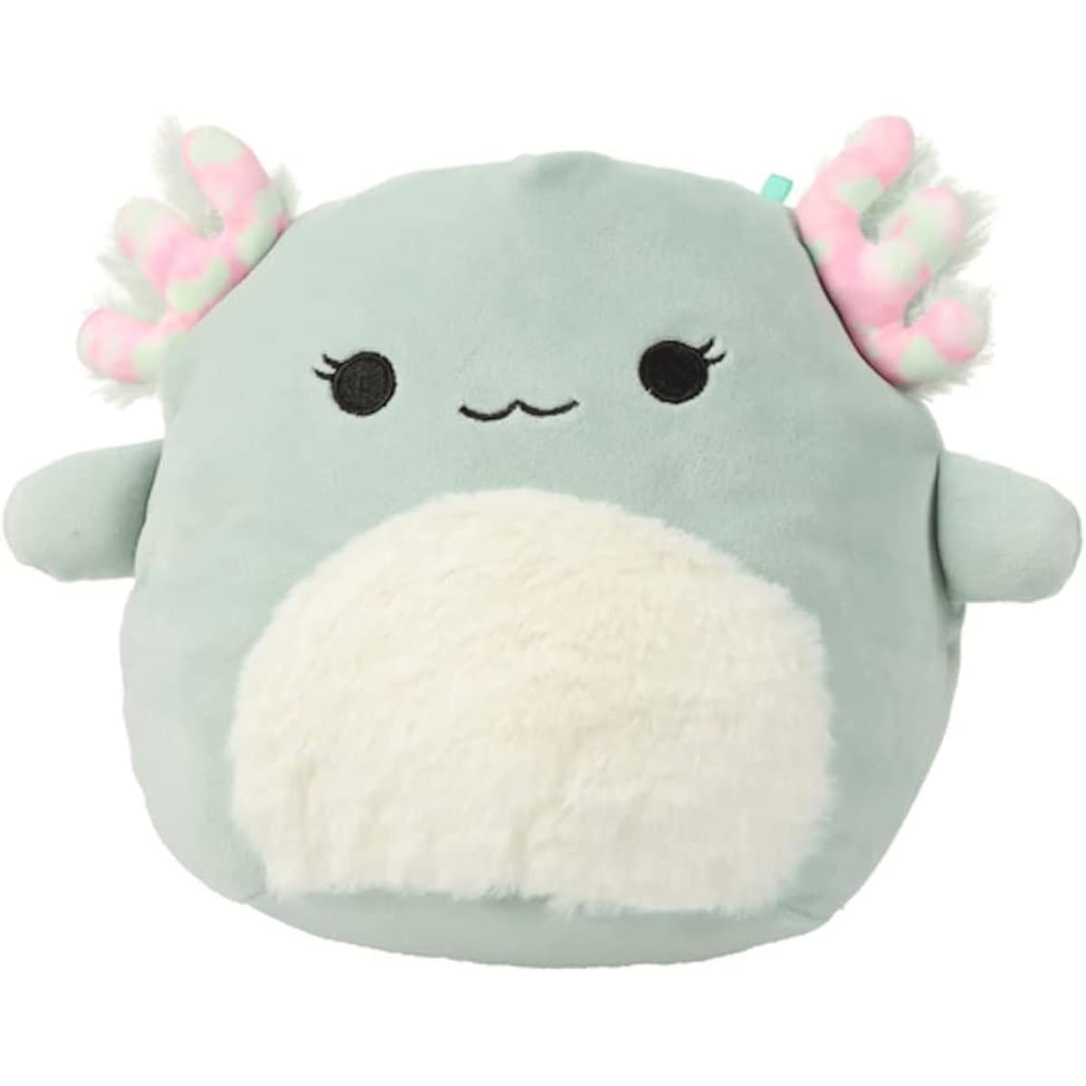 Squishmallow 7.5 inch Chasmen The Axolotl