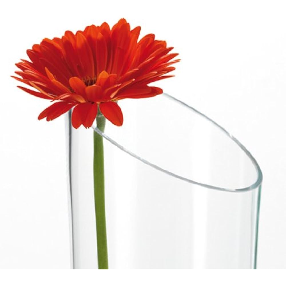 Leonardo Vase Flower Base Dynamic 40cm 012305 Clear