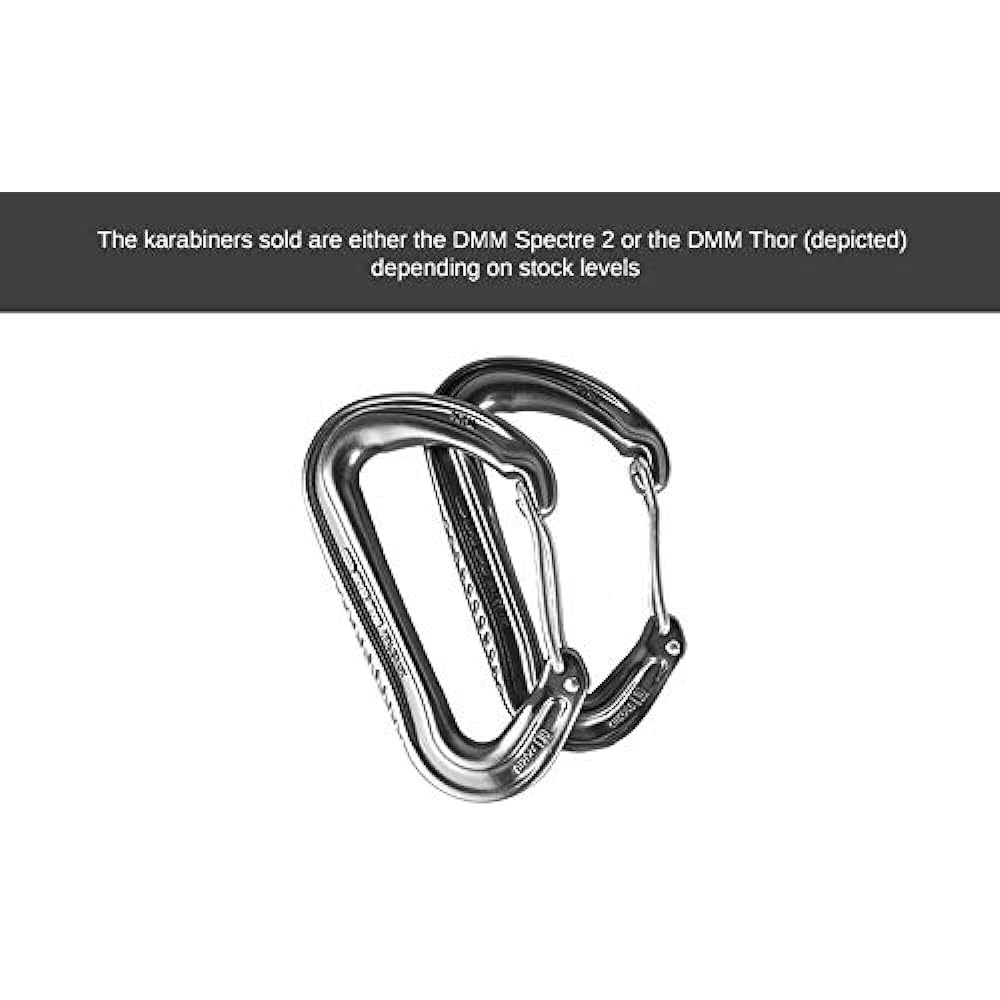 DD Hammock Hammock/Climbing Karabiners x 2 (DMM) Hammock/Climbing Karabiners Perfect for hammock suspension [parallel import goods]