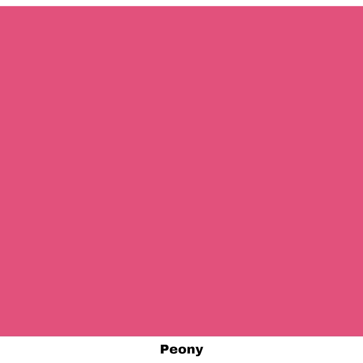 Dixie Belle Paint Company Chalk Finish Furniture Paint (Peony) 16oz