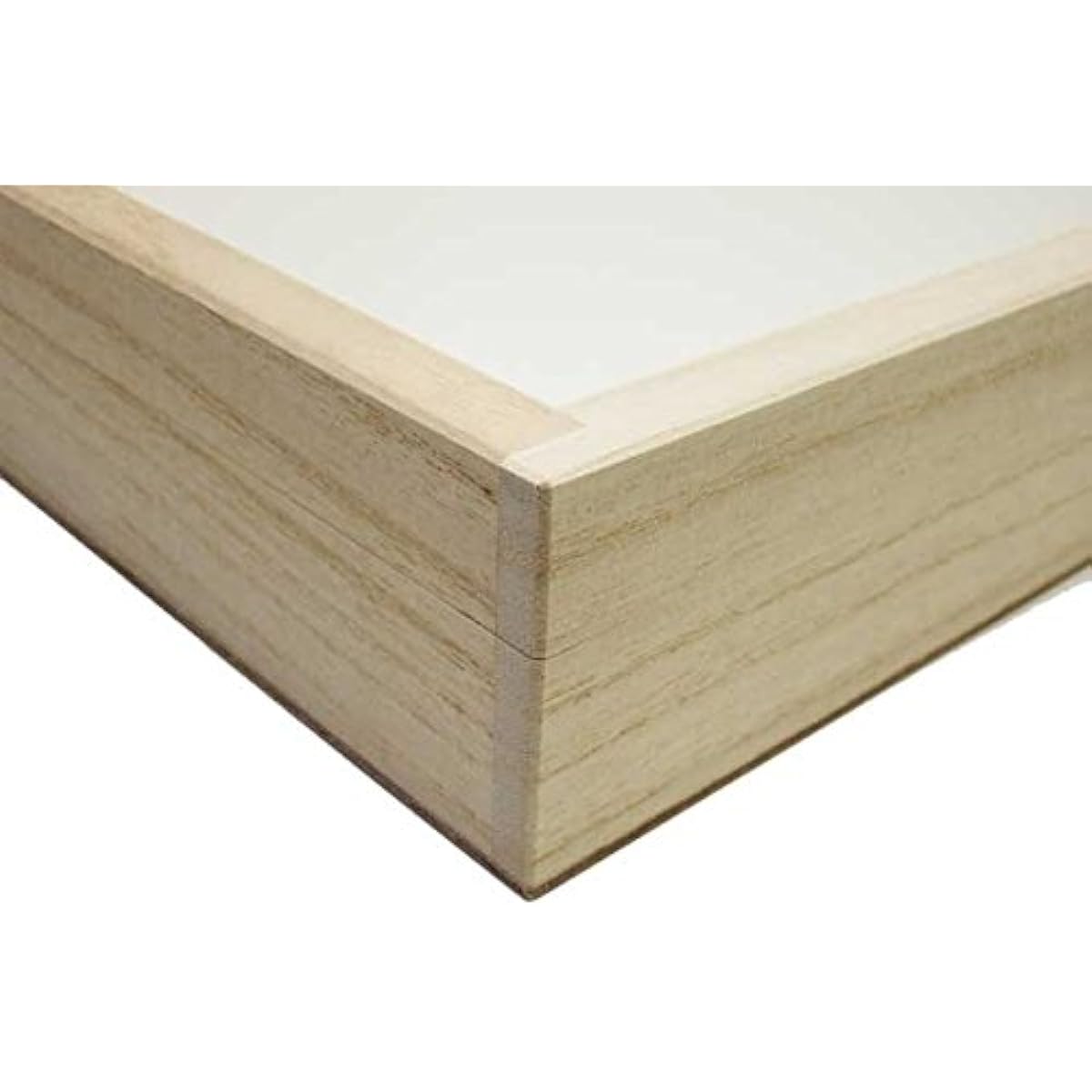 insectech paulownia specimen box: large (glass lid)