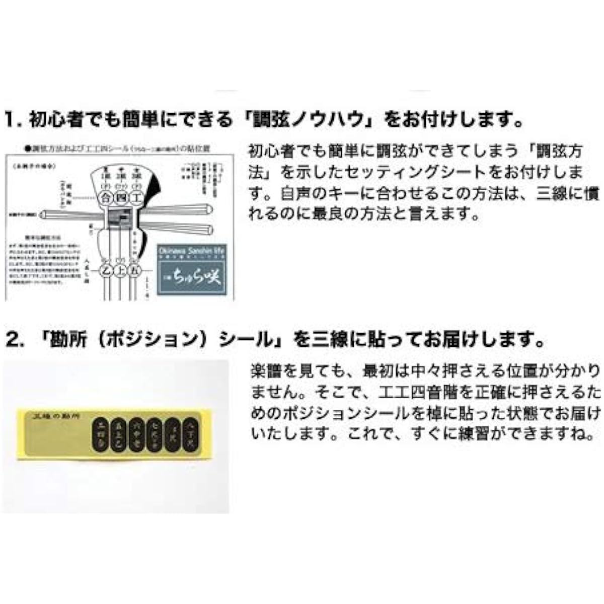 Churasaki Okinawa Sanshin Trial Set for Beginners (Medium Size) [Sound of the Sea and Sheet Music Included] 15 Piece Set [Free Shipping]