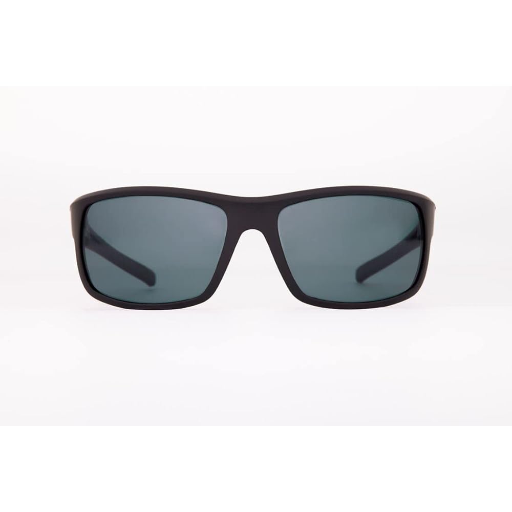 [DAIWA] Polarized glasses DN-8323 Gray