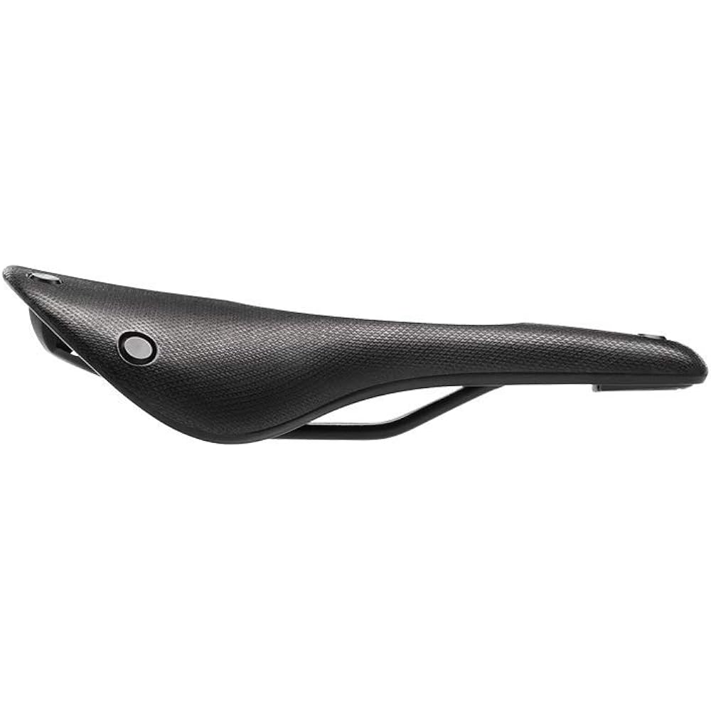 BROOKS Cambium C15 Carved All Weather Saddle (Black) [Parallel Import]