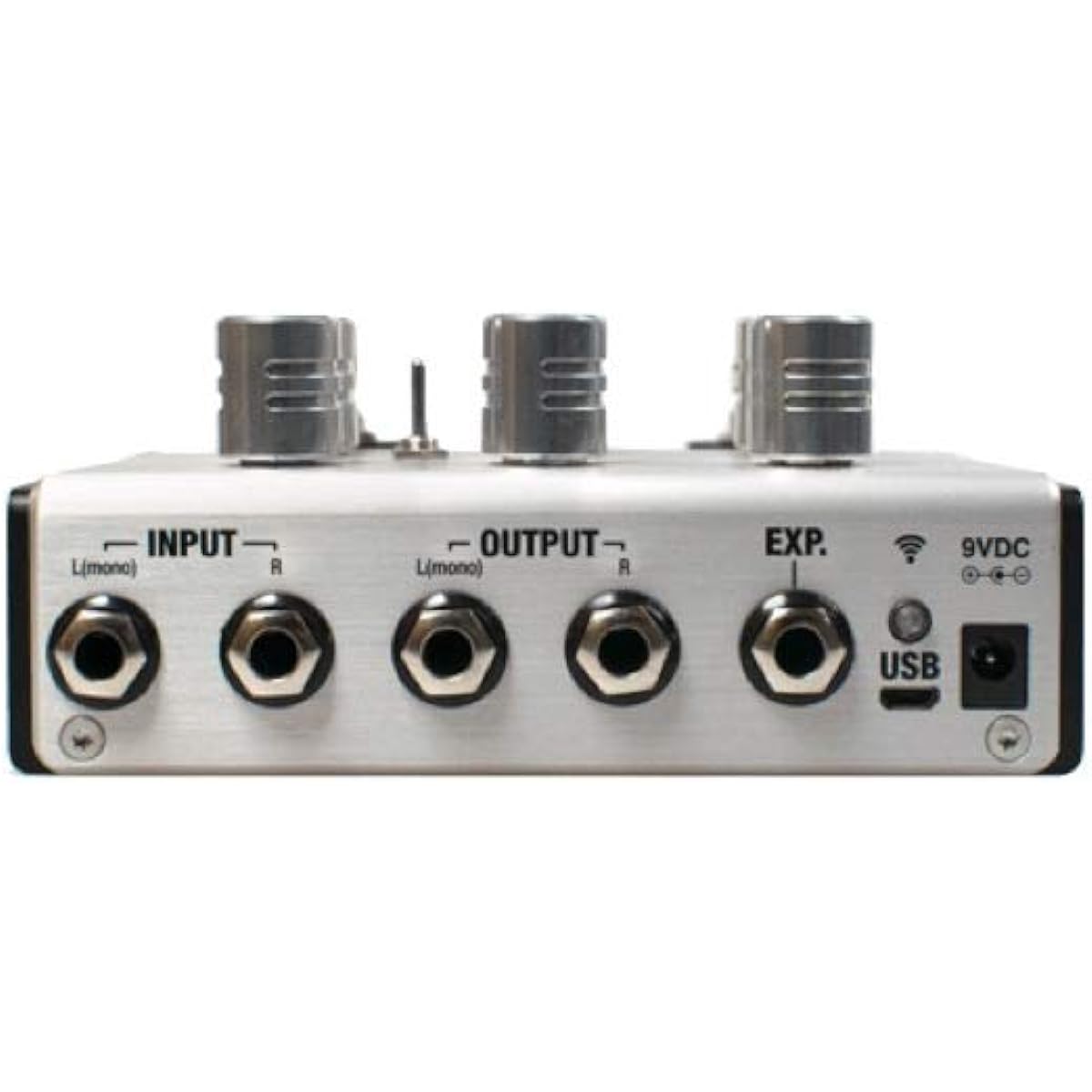 Positive Grid BIAS Delay Twin - Tone Match Delay Pedal (2 Button) Tone Match Pedal Positive Grid