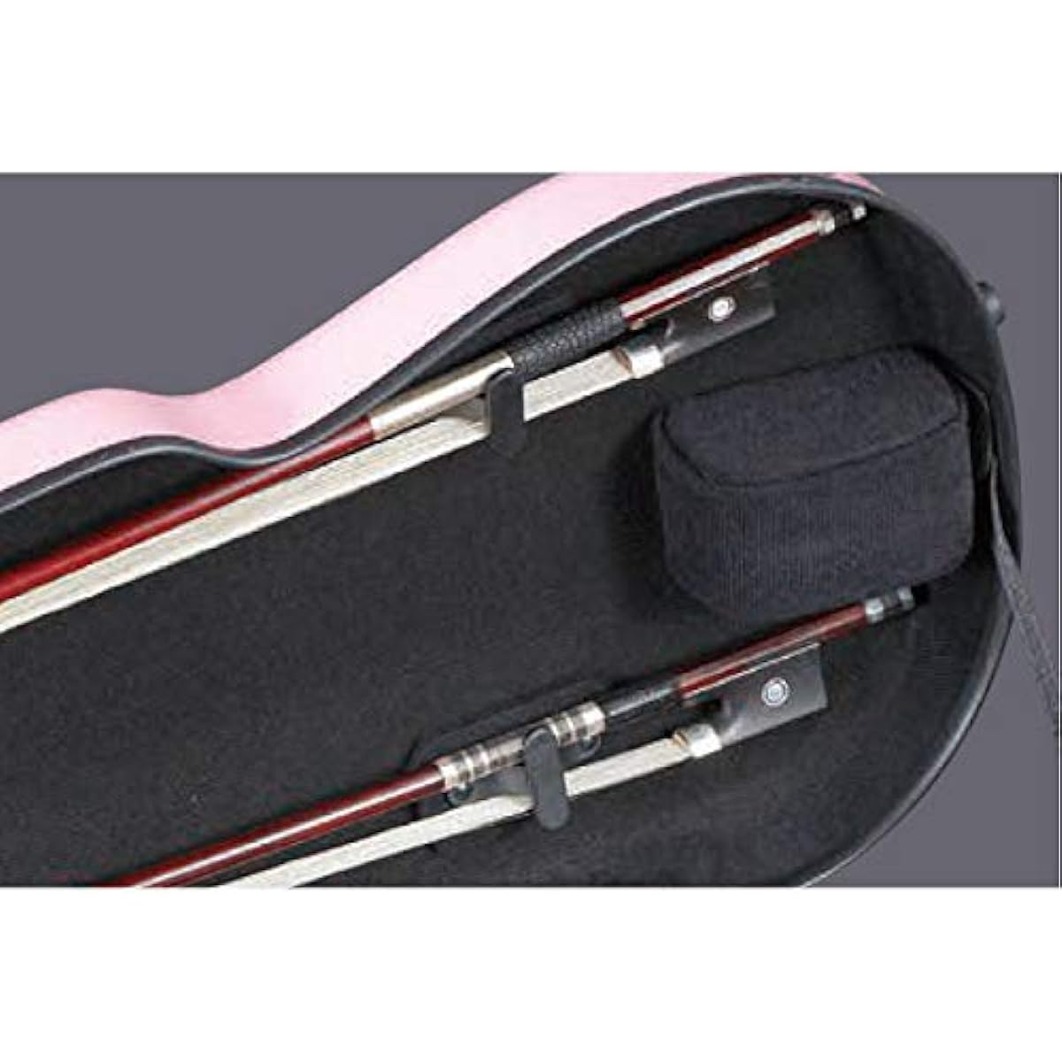 EASTMAN Violin Hard Case 4/4 Standard Pastel Green Eastman