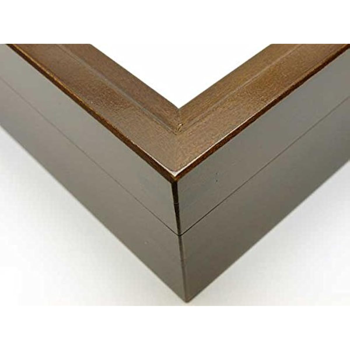 [Thick 80% UV cut] Large German-style specimen box (brown)