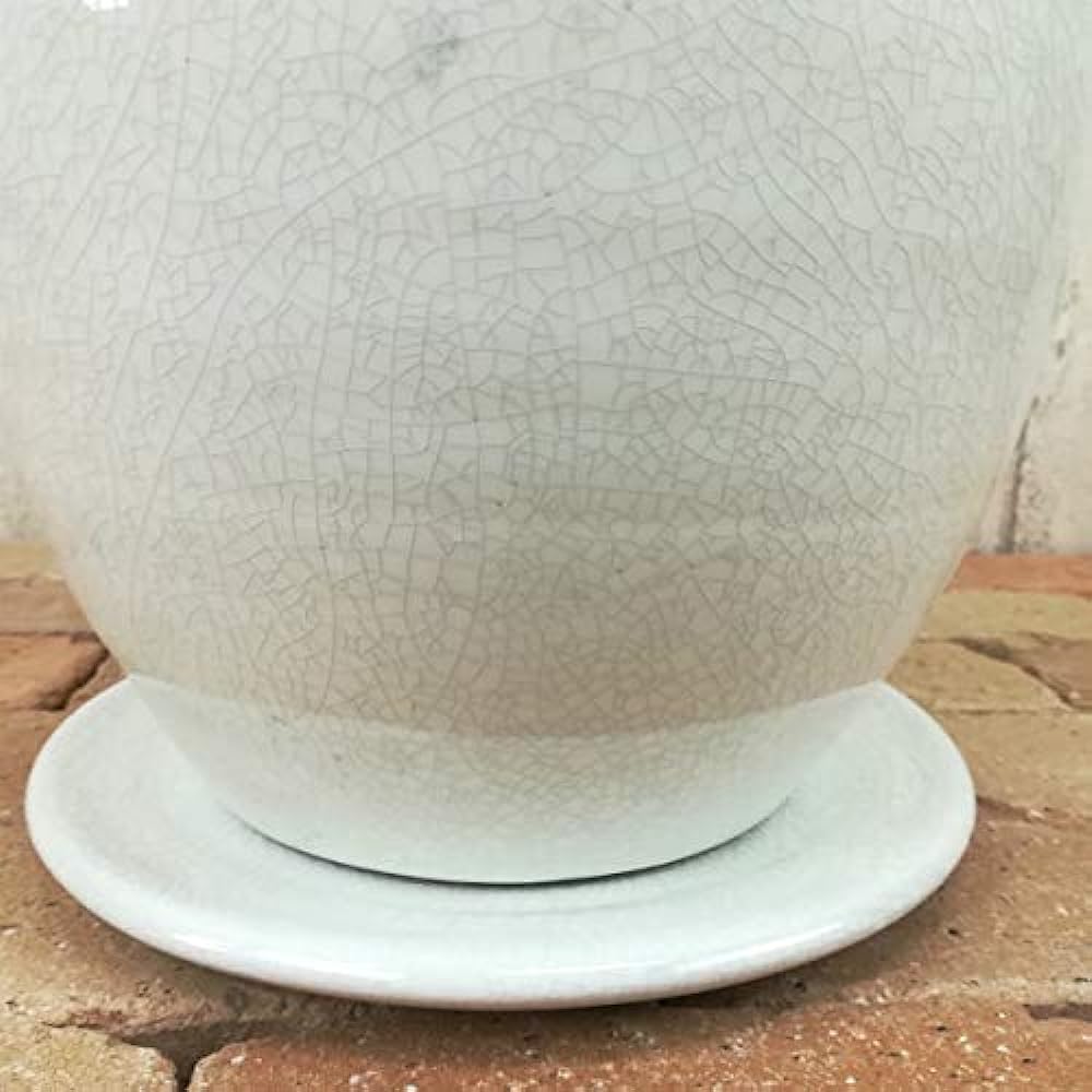 Mule Mill Planter Roberta Round White M CP012MWh