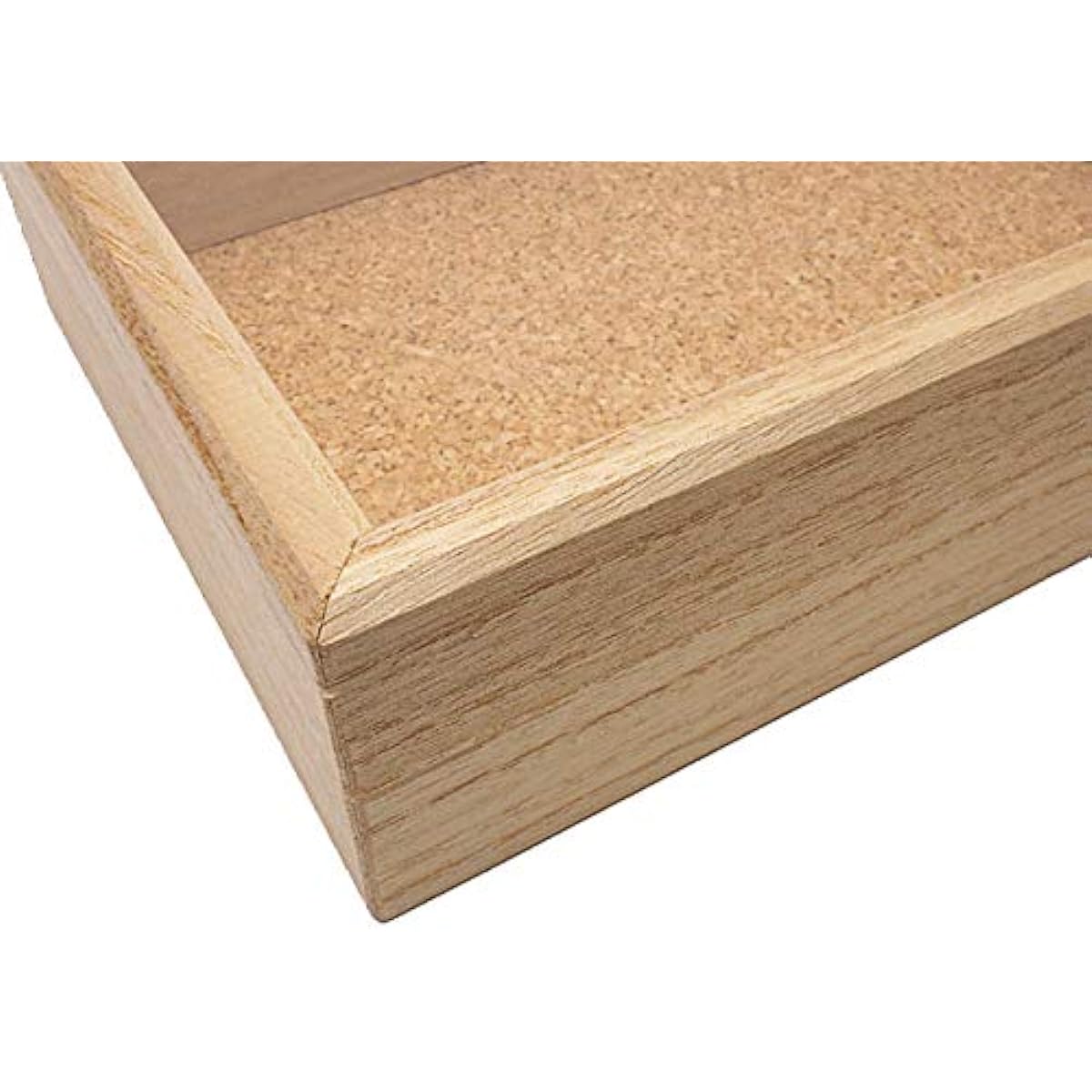 Shiga Inlay Glass Lid Specimen Box [Extra Large Cork Base]