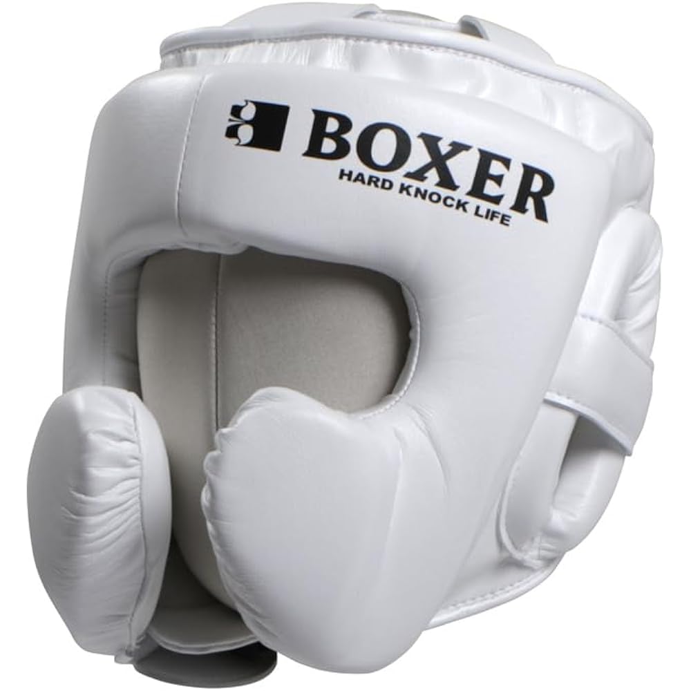 ISAMI Boxer Head Guard Cortex (IBX-280) Made in Japan