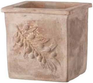 Green Pot Planter Olive Square Antico 37cm EB-34278137GI