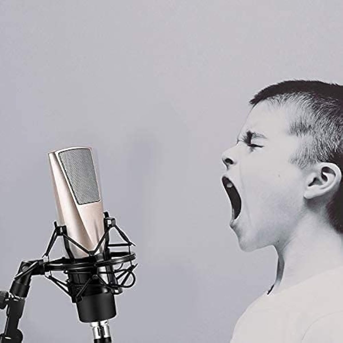 RMENST Microphone for PC, Microphone Kit for Podcast, Streaming, Recording, Recording, Music, Voiceover, Condenser Live Equipment