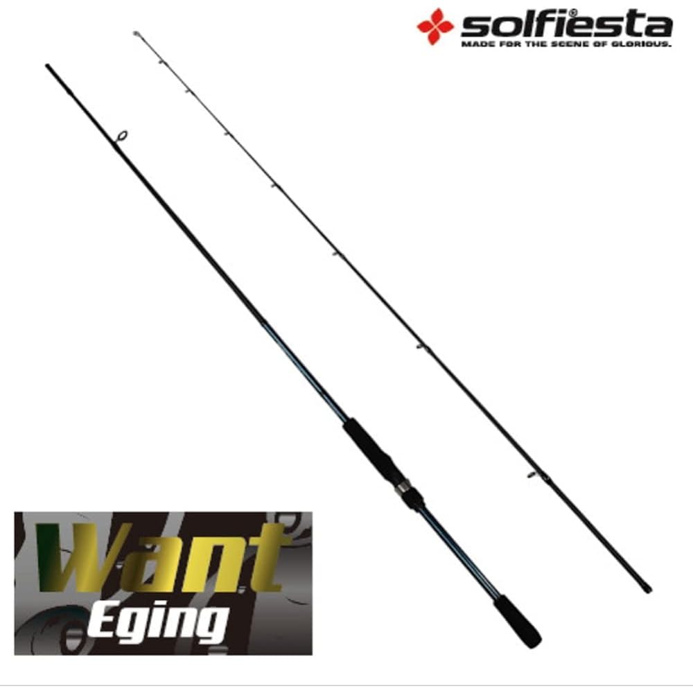 Solfiesta Carbon Egging WANT EGING 8FML