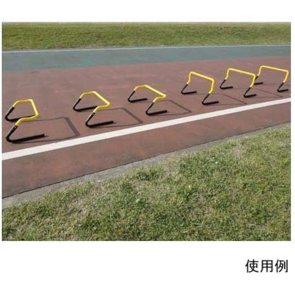 Training Mini Hurdle Set of 6 20cm 30cm Lightweight One Touch Track and Field Carry Bag Included Training ESTH-030