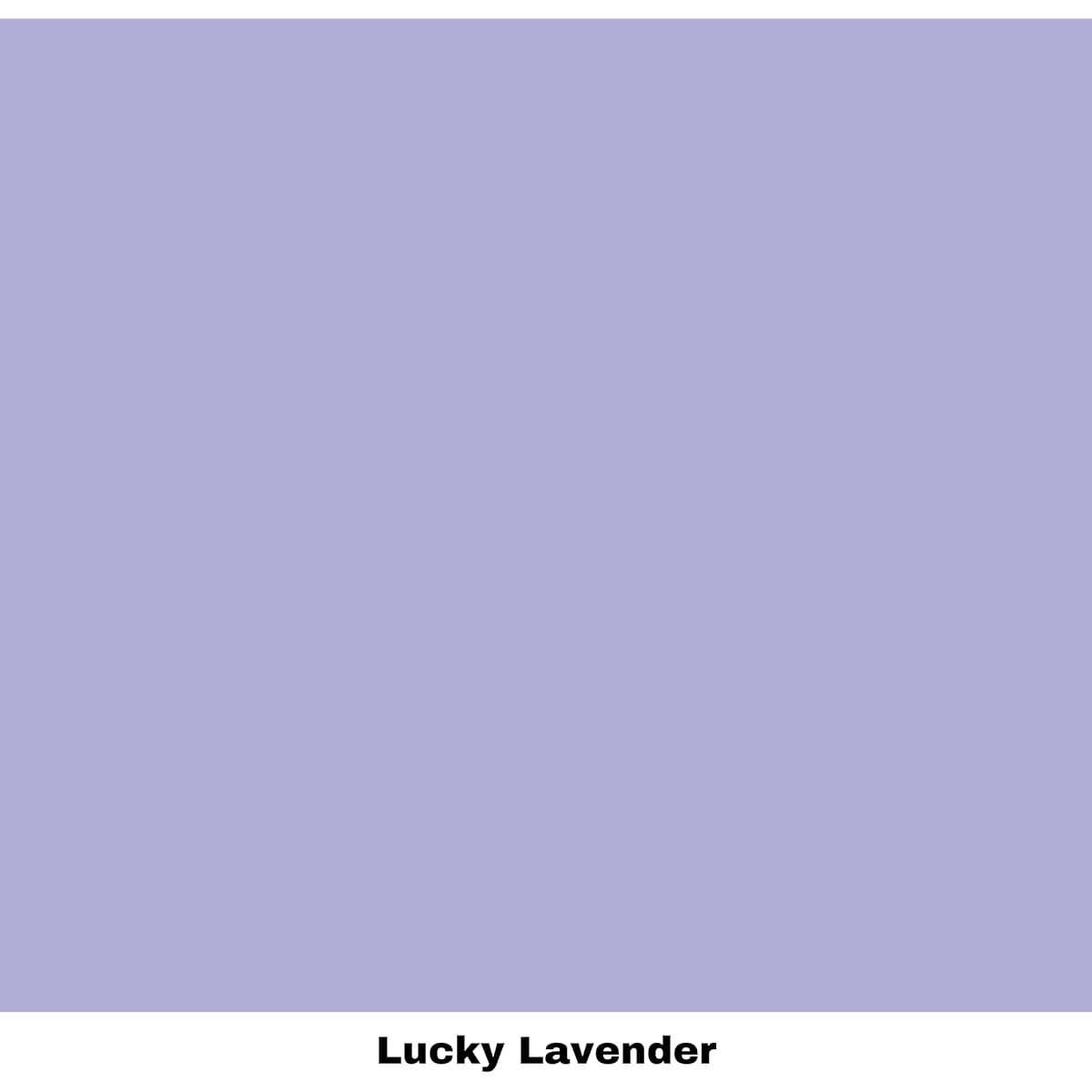 Dixie Belle Paint Company Chalk Finish Furniture Paint (Lucky Lavender) 16oz