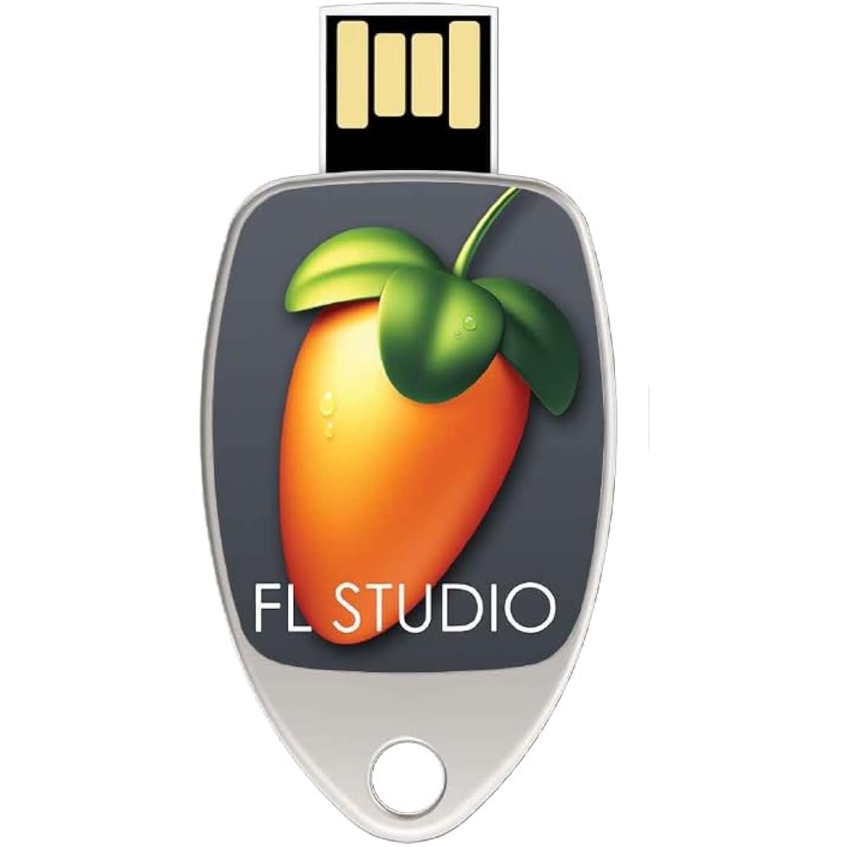 Image-Line FL STUDIO 21 Signature Explanation Book PDF Bundle [Domestic Genuine Product]