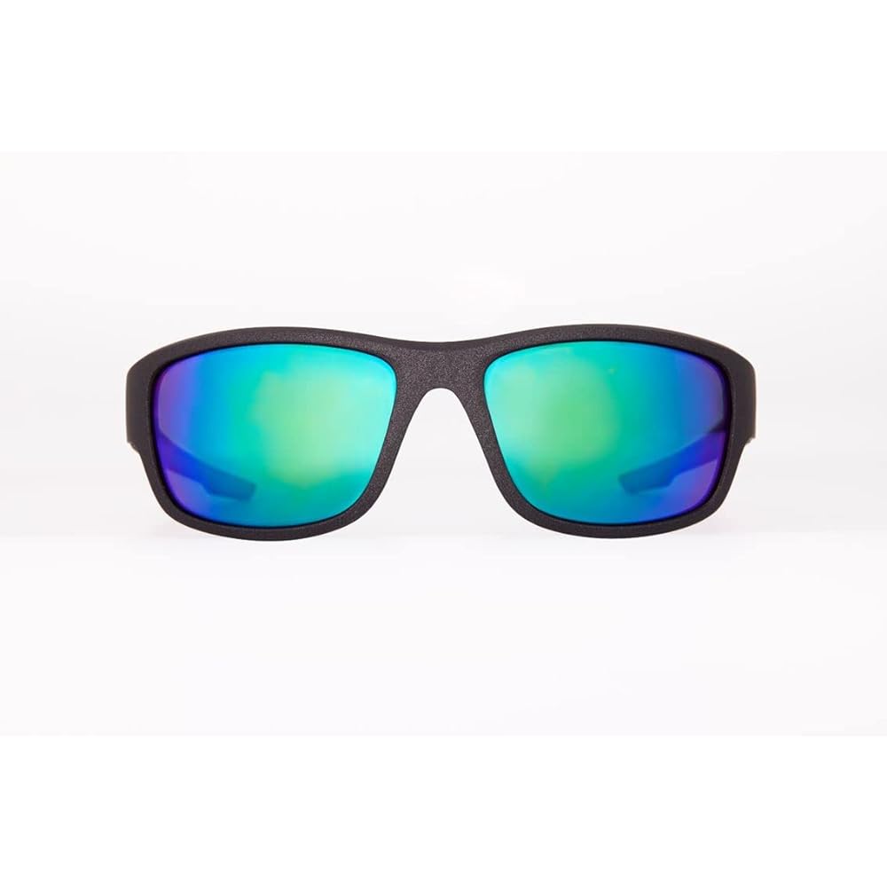 [DAIWA] Polarized glasses DN-8423