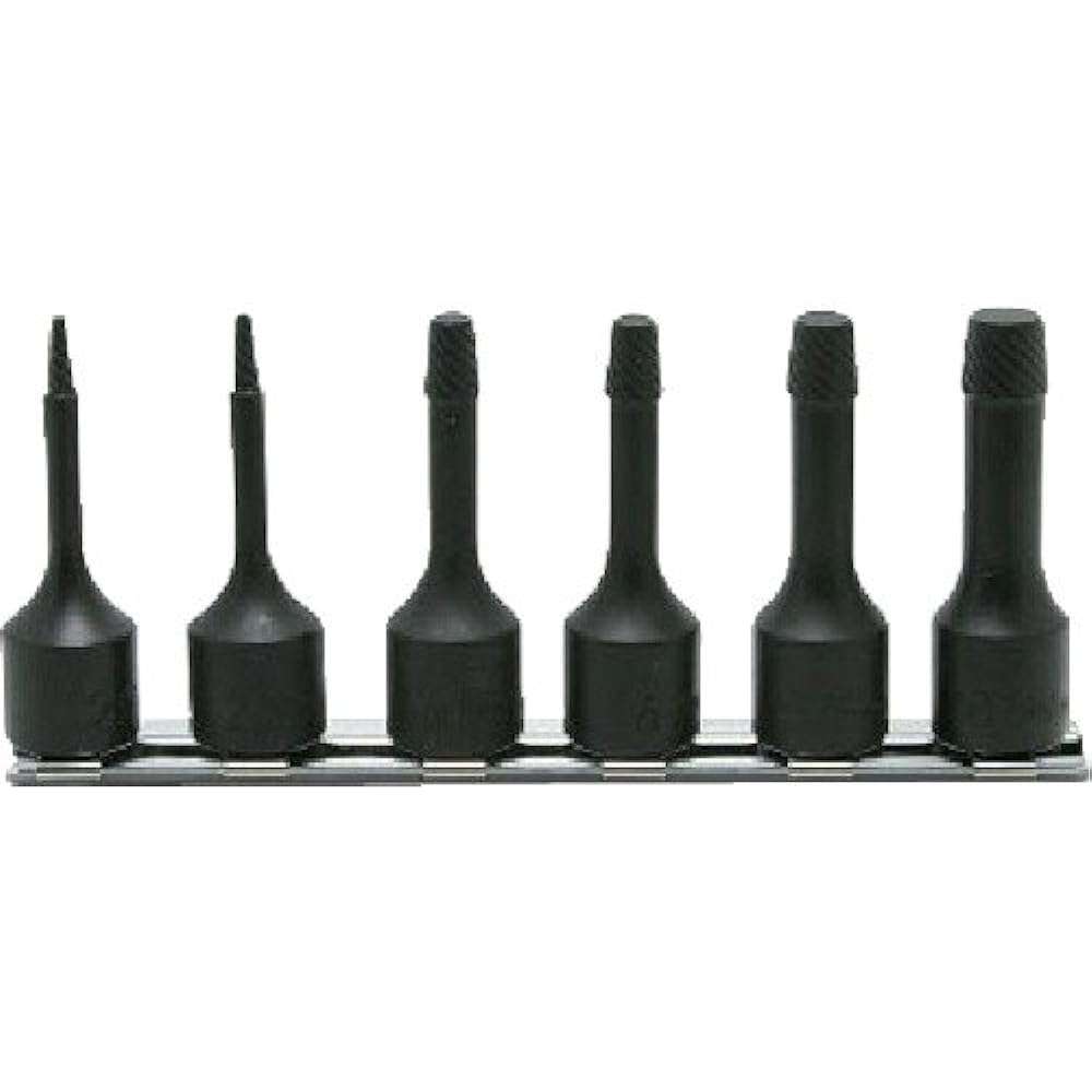 Yamashita Industrial Research Institute Koken 3/8 (9.5mm) SQ. Bolt Twister Rail Set Total Length 60mm 6 Piece Set RS3129/6-L60