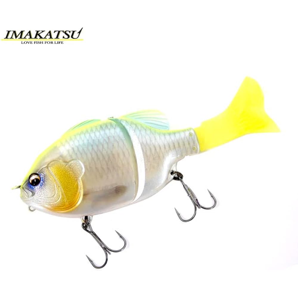Imakatsu Gilroyd Jr.