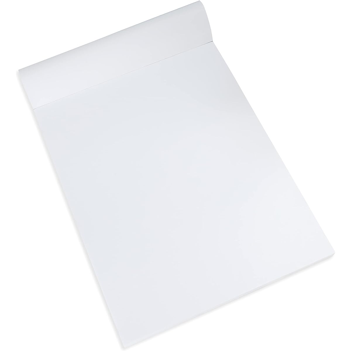 Bee Paper Big Bee Sketch Pad 11-inch x 14-inch, 125 Sheet Tape Bound Pad 827T100-1114