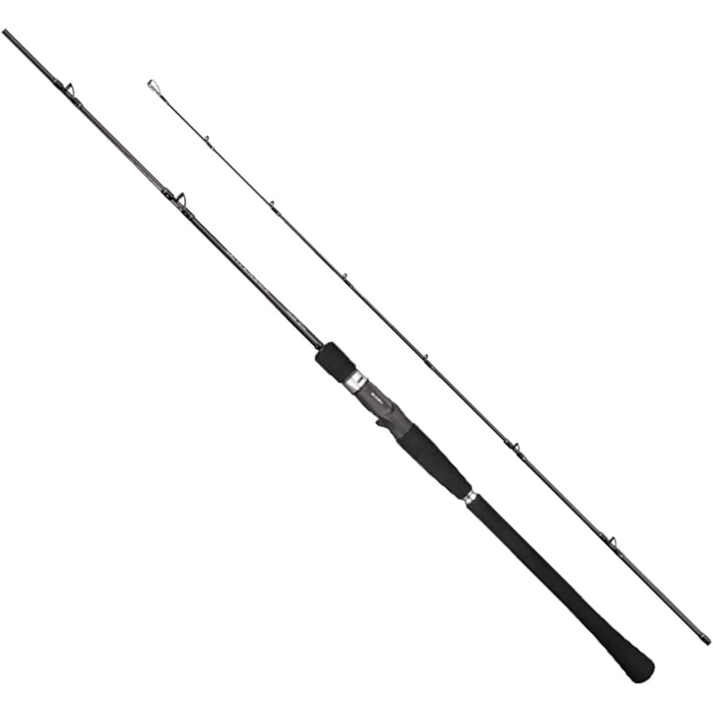 SHIMANO Rod 19 Salty Advance Various Salt Lure Games