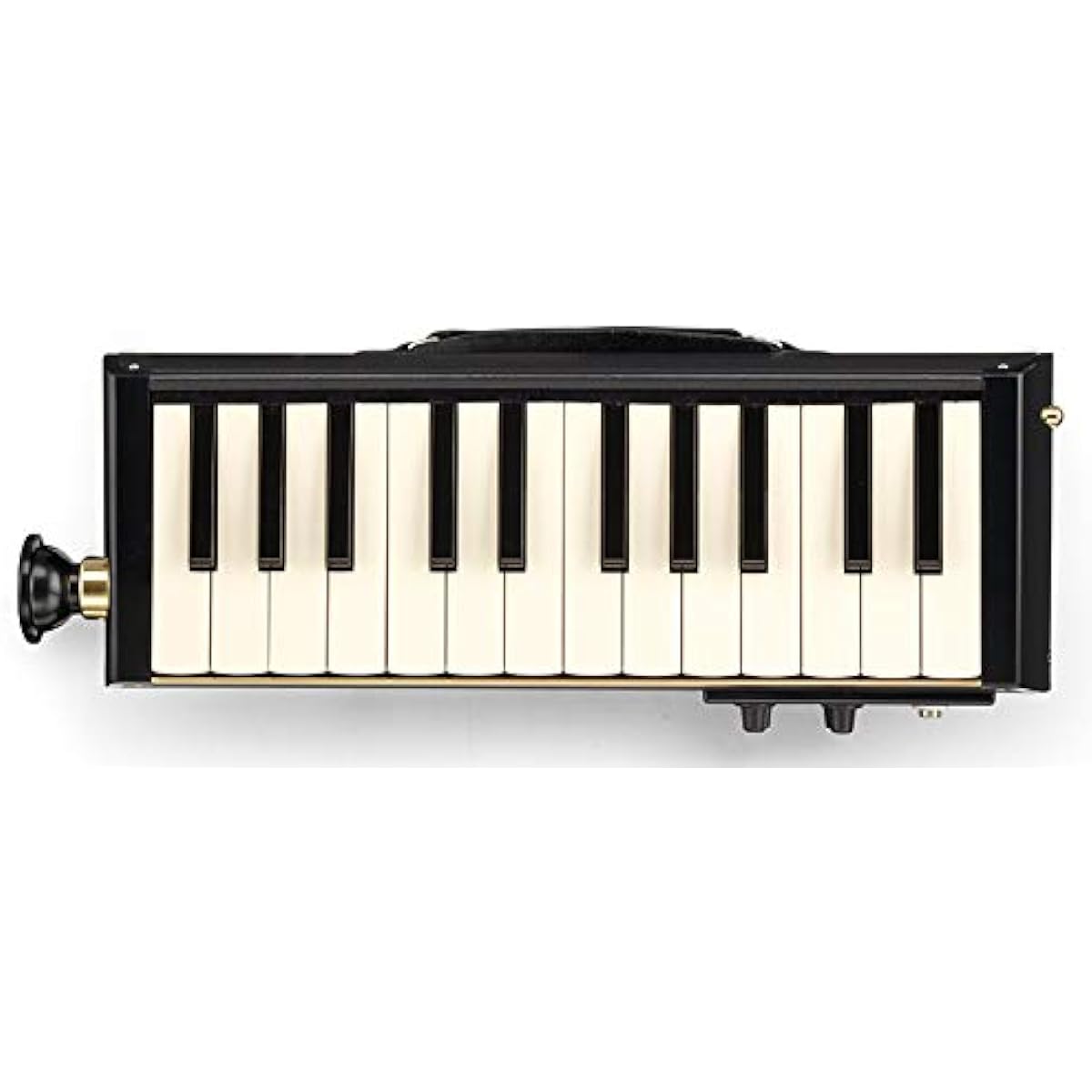 HAMMOND Melodion PRO-24B Melodica