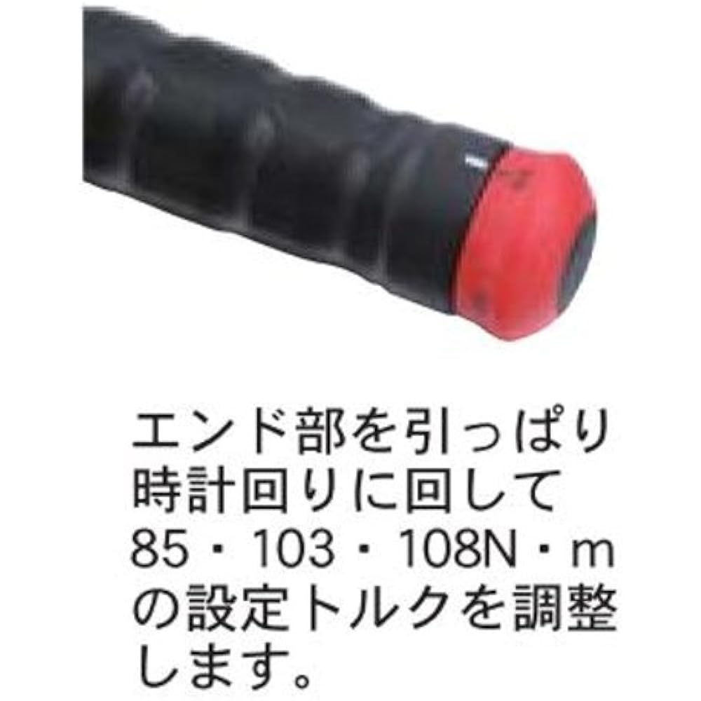 Pro-Auto [Pro-Auto] 3 position torque wrench with socket TR-403PWS
