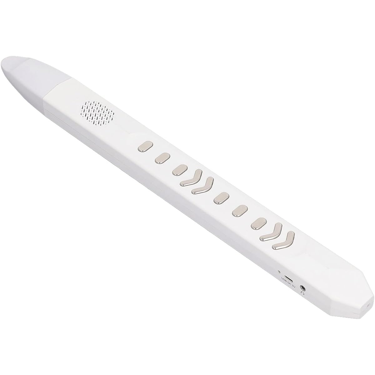 Electronic wind instrument, rechargeable portable