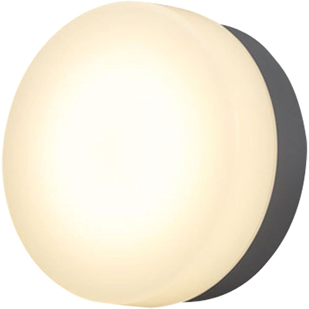 Iris Ohyama LED Porch Light Silver Electrical Work Required IRCL5N-CIPLS-BS-P