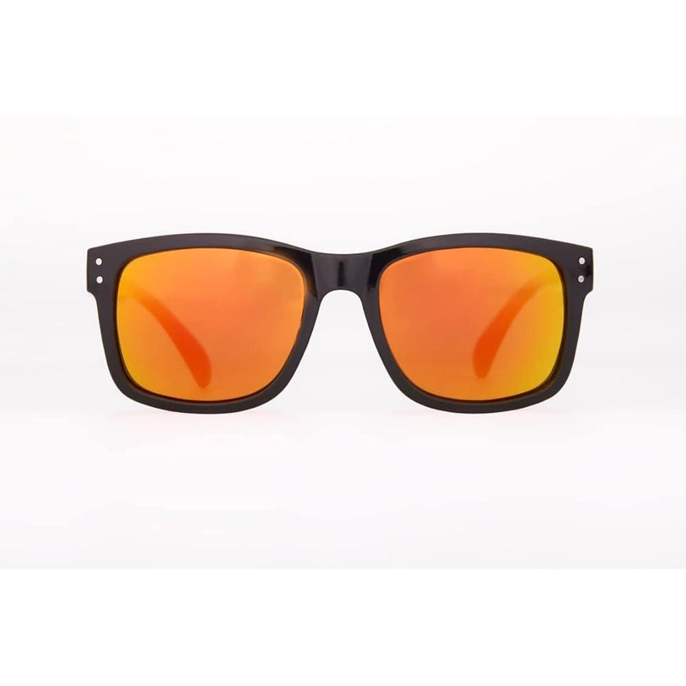 [DAIWA] Polarized glasses DN-8223F Gray