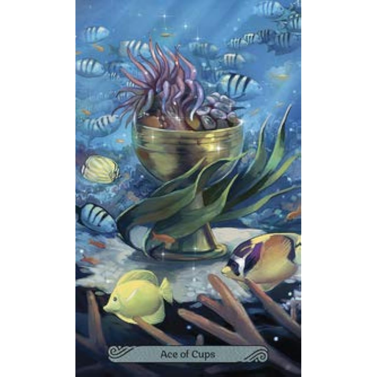 78 Tarot Cards Rider Version Tarot Fortune Telling [Mermaid Tarot] Japanese Explanation Manual Included [Genuine Product]