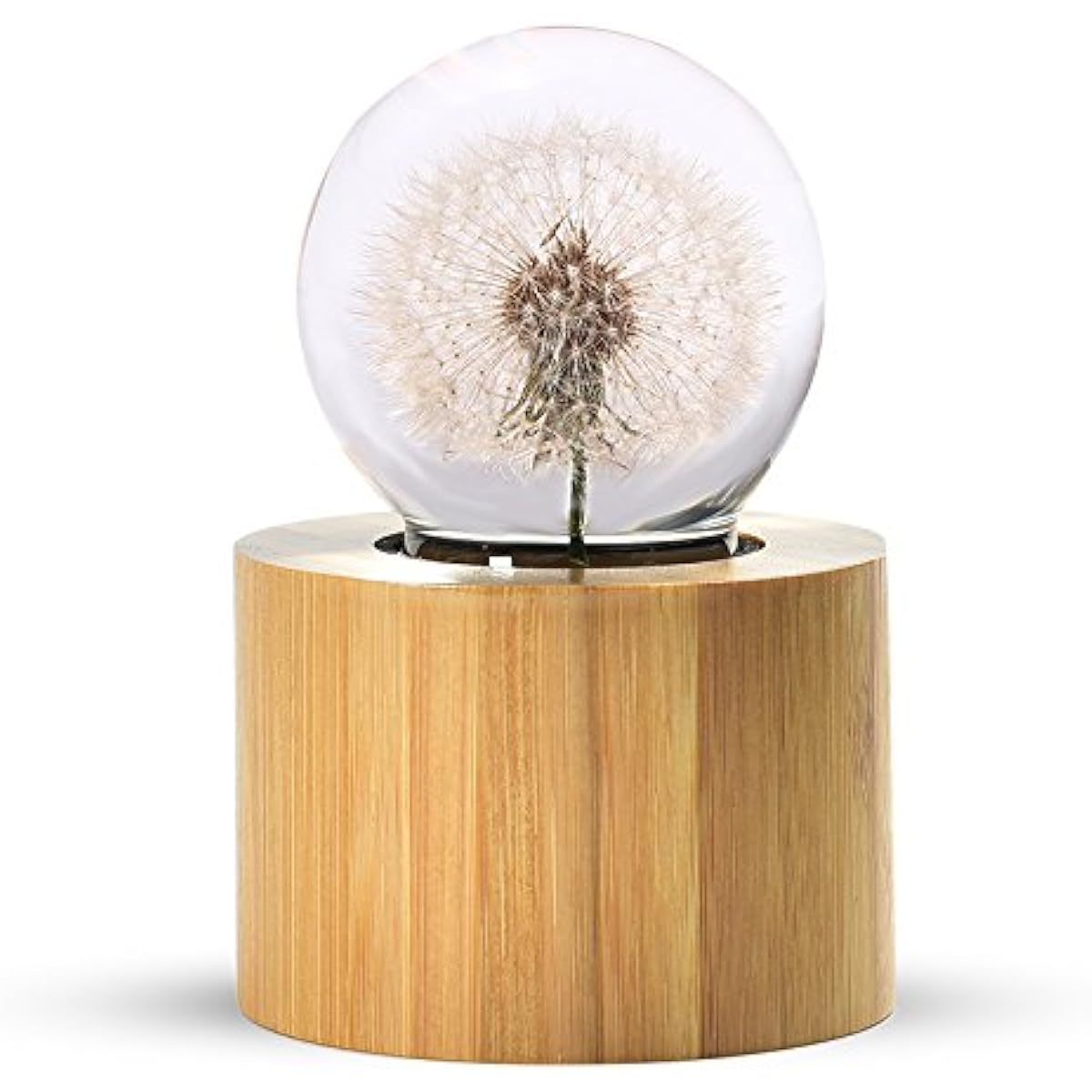 Musical Box Real Specimens Dandelion Ball with Wooden LED Bass Music Box Gift for Christmas/Birthday/Valentine's Day, Melody Castle in the Sky