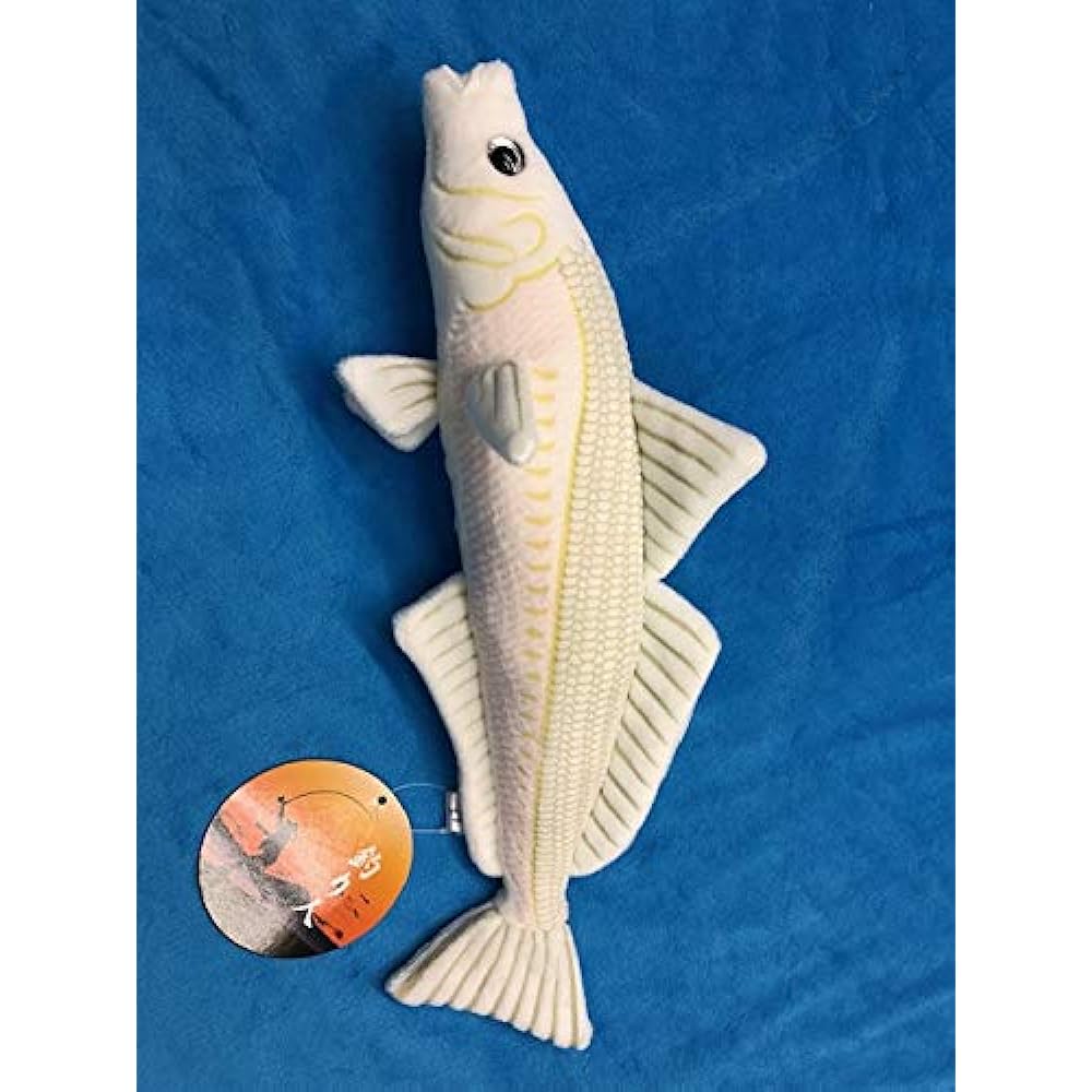 TST Advance Angler Shirogisu 9353