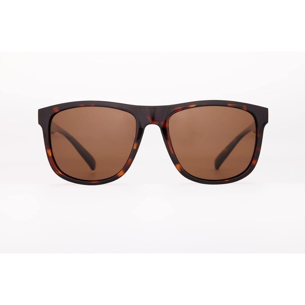 [DAIWA] Polarized glasses DN-8023 Brown