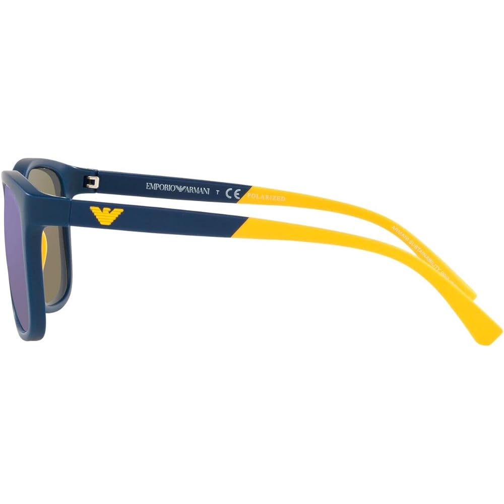 [Emporio Armani] Sunglasses EA4184F