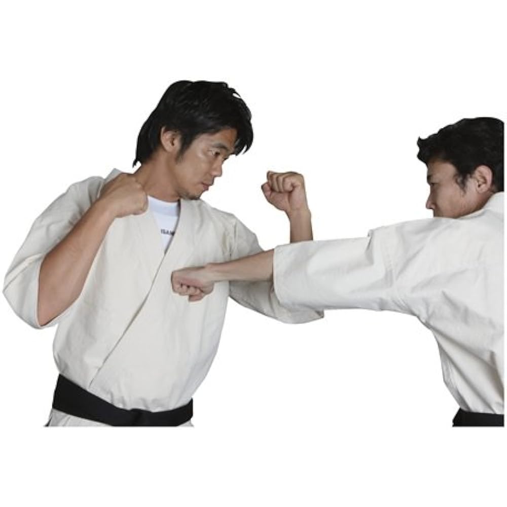 ISAMI Inner Chest L-8303 S size