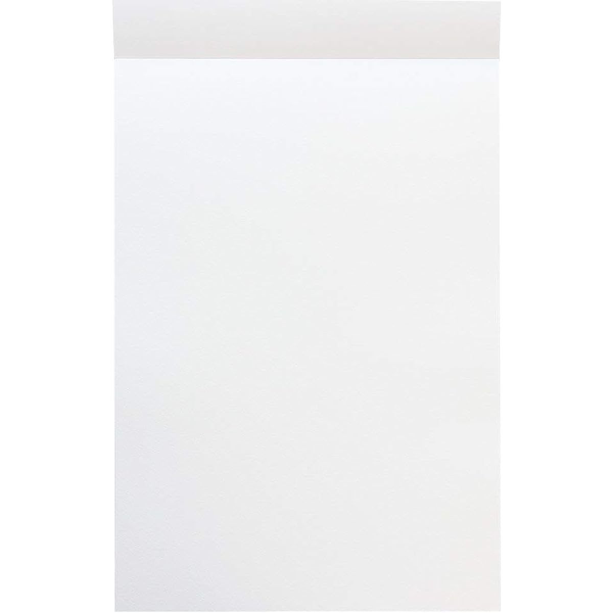 Maruman Sketchbook Sketch Pad Vif-Art Watercolor Paper B4 Medium 15 Sheets S209V [Bulk Purchase 5-Pack]