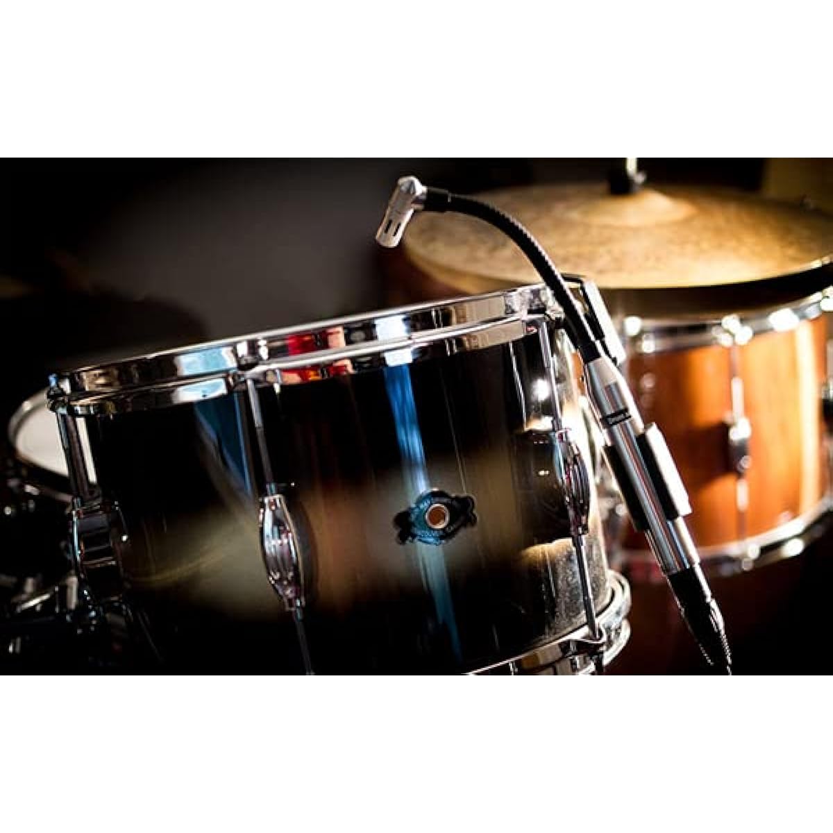 EarthWorks DM20 Cardioid Condenser Microphone for Snare Tom EarthWorks