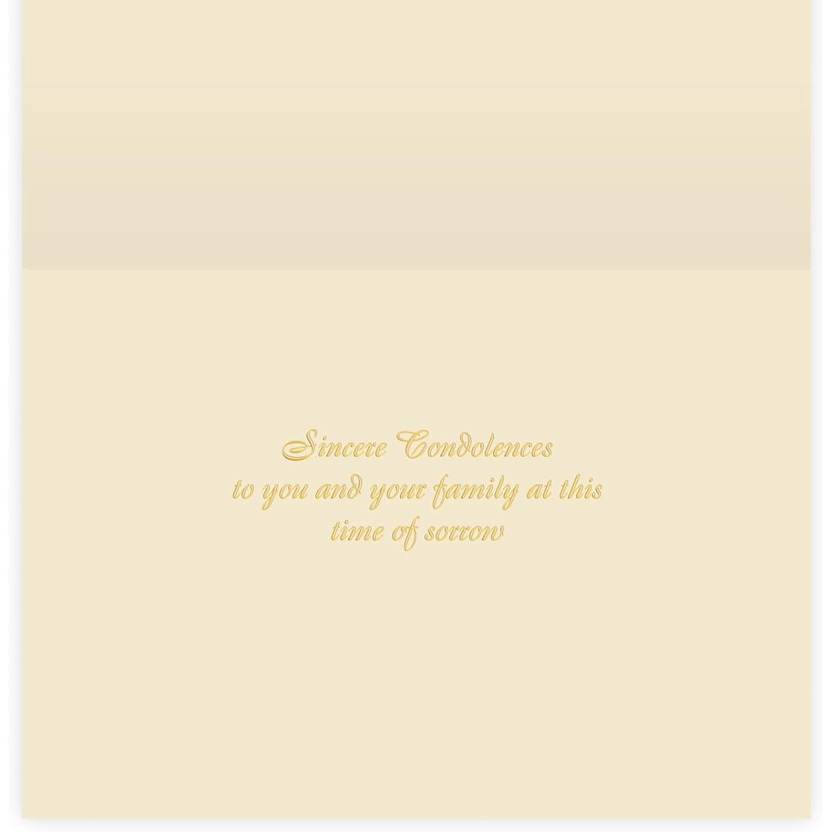 The Gallery Collection - (5) Sympathy Dove Cards with Pearl Lined Envelopes