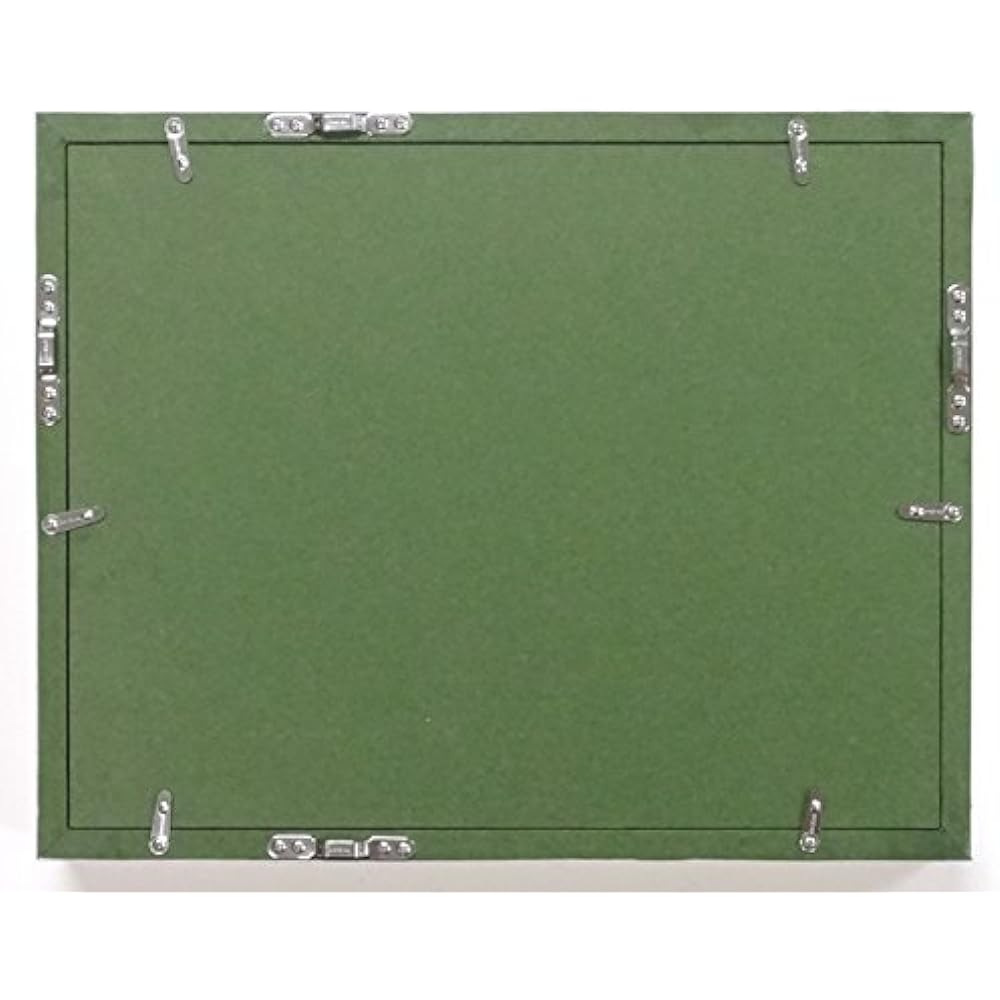 Doshisha Oil Painting Frame Duet Acrylic Specification (Off White, SM)