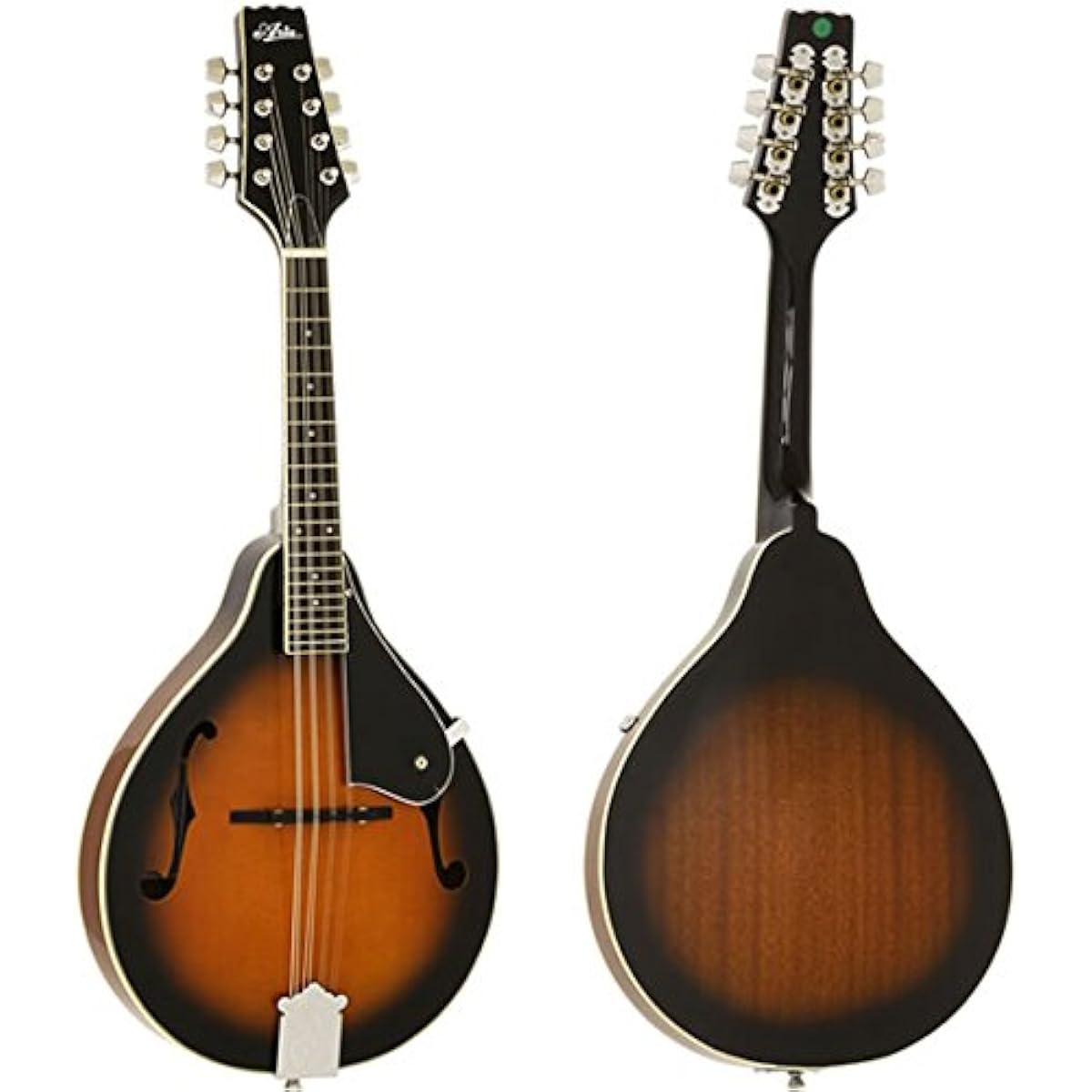 Aria flat mandolin for beginners, standard 9-piece set with hard case included AM-20