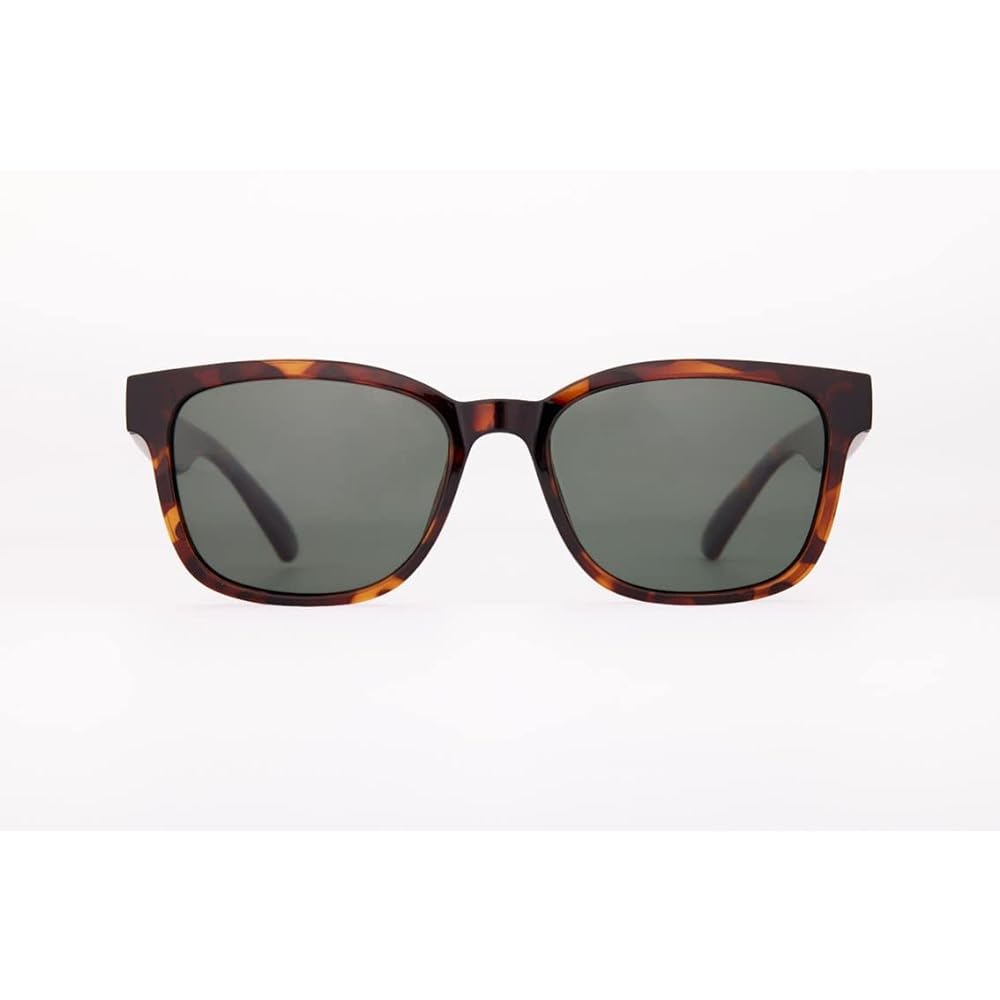 [DAIWA] Polarized glasses DN-8123