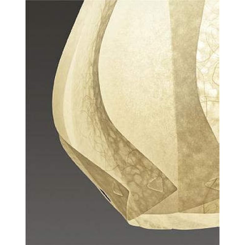 DAIKO LED Japanese Style Pendant Light with Lamp, For Direct Mounting Only, Brightness Equivalent to 100W Incandescent Light, Bulb Color, Electrical Work Required, Brown DPN-40052Y