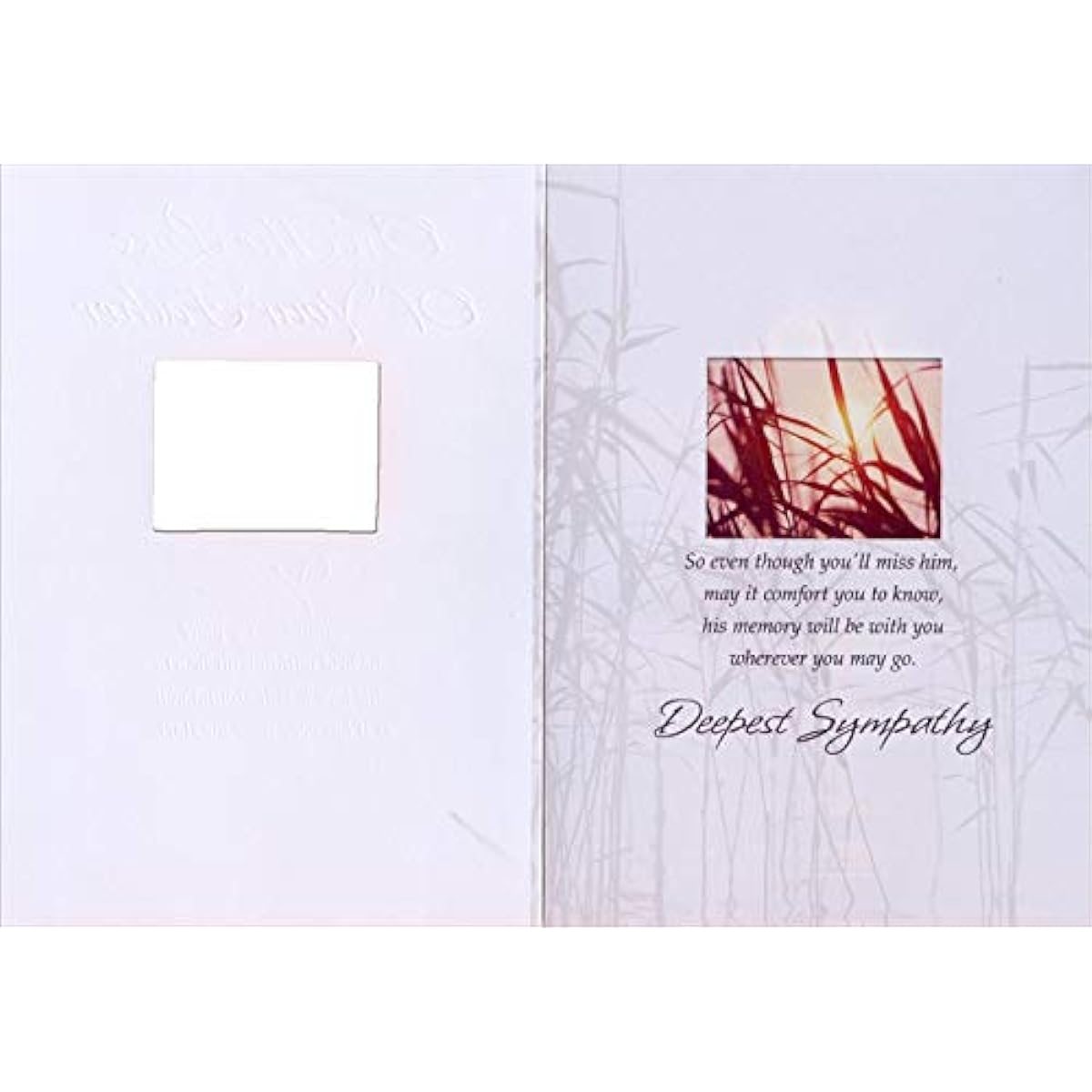 Designer Greetings Thor Reed Window Sympathy Card