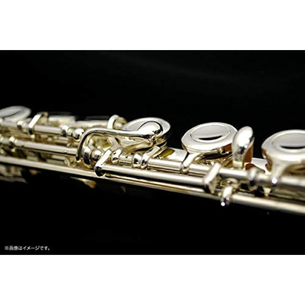Soleil Flute Sakura Musical Instrument Original Beginner Set/Silver Plated Finish
