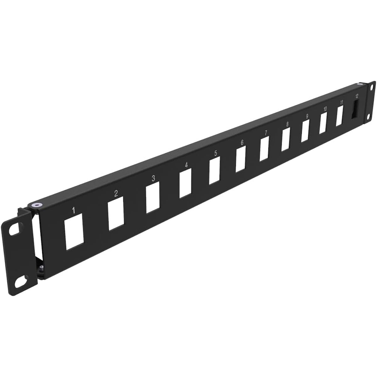 QiaoYoubang 1U Hinged Rack Panel for 19" Rack Mount (1U12 Holes)