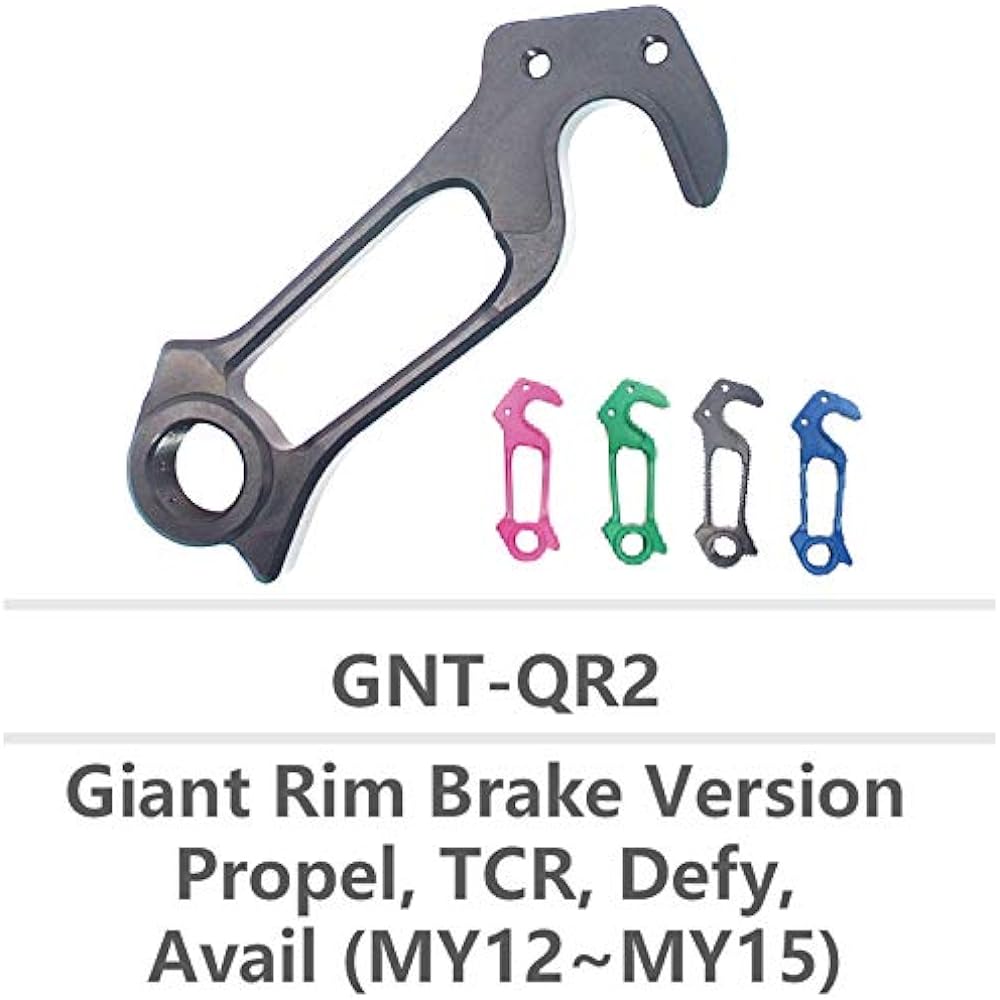 Direct mount derailleur hanger for GNT-QR2 GIANT