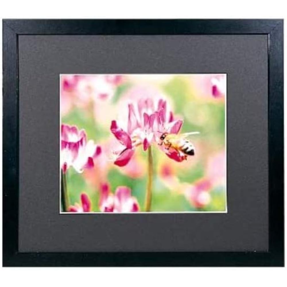 FUJICOLOR Picture Frame Wide Matte Frame M3000 Acrylic Wide 4 Cut Wooden Black 406393